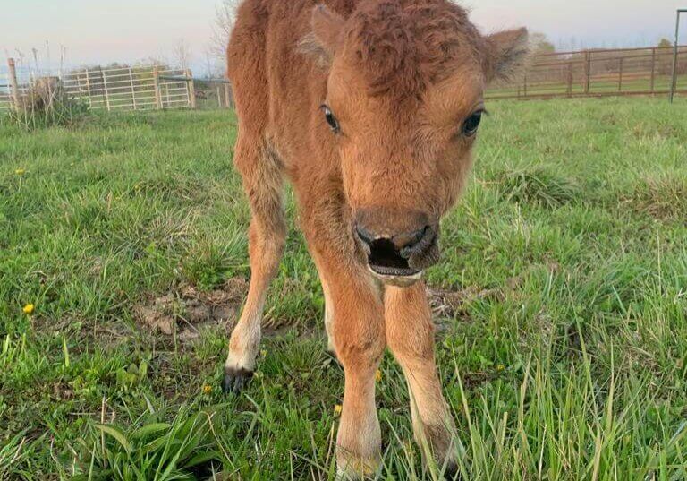 2FB08594-7DAF-41DC-B4C6-7B9EF98BF688